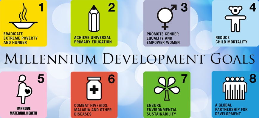 millenium development goals